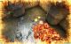 Serious Sam HD: The Second Encounter mit SSAA (2)