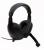 Raptor Gaming H3 (3)