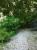 Testbild auf dem 3GS.