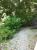 Testbild auf dem iPhone 4.