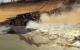 2009 Dirt 2