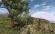 Gothic 3 PCGH Ultra-Ini 8x ED-SGSSAA 15