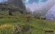 Gothic 3: Die Vegetation profitiert enorm von Supersampling.
