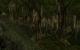 Morrowind mit Mods by BlackF0g (2)