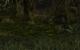 Morrowind mit Mods by BlackF0g (12)