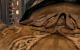 Prince of Persia: Die vergessene Zeit in 2.560 x 1.600 Pixeln mit achtfacher Kantenglättung und maximalen In-Game-Details (6)
