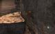 Prince of Persia: Die vergessene Zeit in 2.560 x 1.600 Pixeln mit achtfacher Kantenglättung und maximalen In-Game-Details (13)