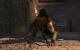 Prince of Persia: Die vergessene Zeit in 2.560 x 1.600 Pixeln mit achtfacher Kantenglättung und maximalen In-Game-Details (18)