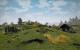 Gothic III (3)
