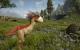 Gothic III (6)
