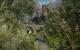 Gothic III (12)