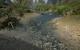 Gothic III (21)