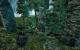 Gothic III (29)
