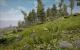 Gothic III (30)