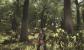 Gothic 4 - Arcania (15)