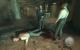 Screenshots aus Mafia 2 (8)