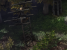 Anti Aliasing in Starcraft 2