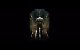 Starcraft 2: Impressionen der Installation und aus den ersten beiden Singleplayer-Karten der finalen Version. (9)