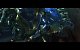 Starcraft 2: Impressionen der Installation und aus den ersten beiden Singleplayer-Karten der finalen Version. (21)