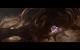 Starcraft 2: Impressionen der Installation und aus den ersten beiden Singleplayer-Karten der finalen Version. (32)