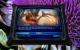 Starcraft 2: Impressionen der Installation und aus den ersten beiden Singleplayer-Karten der finalen Version. (1)
