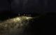 Stalker: Call of Pripyat - Komplettes Walkthrough im PCGHX-Forum (11)