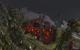 World of Warcraft Cataclysm Beta (6)