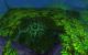 Cataclysm Flop: Grausame Alpha-Tests