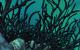Cataclysm Flop: Grausame Alpha-Tests zum Zweiten