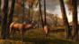 Gamescom 2010: Guild Wars 2 (27)