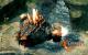 Lost Planet 2 