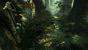 The Witcher 2 (2)
