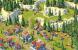 Age of Empires Online (5)