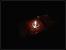 Update: Unter Wasser, in der Natur, in Flammen (17)