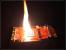 Update: Unter Wasser, in der Natur, in Flammen (18)