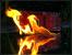 Update: Unter Wasser, in der Natur, in Flammen (25)