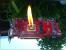 Update: Unter Wasser, in der Natur, in Flammen (26)
