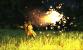 Arcania - Gothic 4