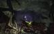 Arcania: Gothic 4 Demo, HD 5870, maxed (26)