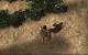 Arcania Gothic 4 Demo, Verbotenes Gebiet (17)