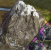 Civ5 mit DX11 (bitte beachten Sie, dass das Terrain samt Städten, Bergen und Co. dynamisch generiert wird!)