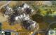 Civilization 5: DirectX 11 (19)