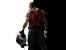 Duke Nukem Forever (Juni)17.3%
