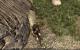 Gothic 4 Arcania Demo @ Radeon HD 5870, max. Details (2)