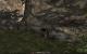 Arcania: Gothic 4 Demo, HD 5870, maxed (79)