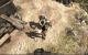Top: Dynamische, weiche Schatten #2