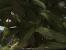 Arcania - Gothic 4 Grafik-Fails 15: Da winken selbst Vegetarier ab