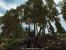 Arcania - Gothic 4 Tops: Nadelnde Vegetation zum Anbeißen