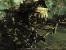Arcania - Gothic 4 Tops: Hervorragende, dynamische Schatten