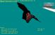 Bullet Cloth Simulation (DirectX 11)